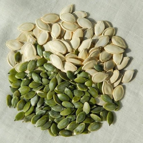 Pumpkin Seeds Shine Skin Pumpkin Seeds Kernels Grade A As Food And Ingredient