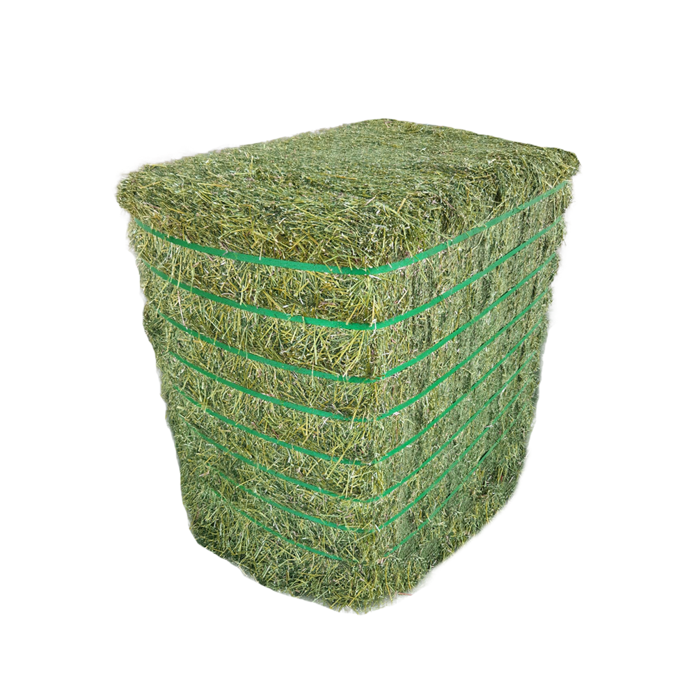 Alfalfa Hay and Rhodes Grass Hay